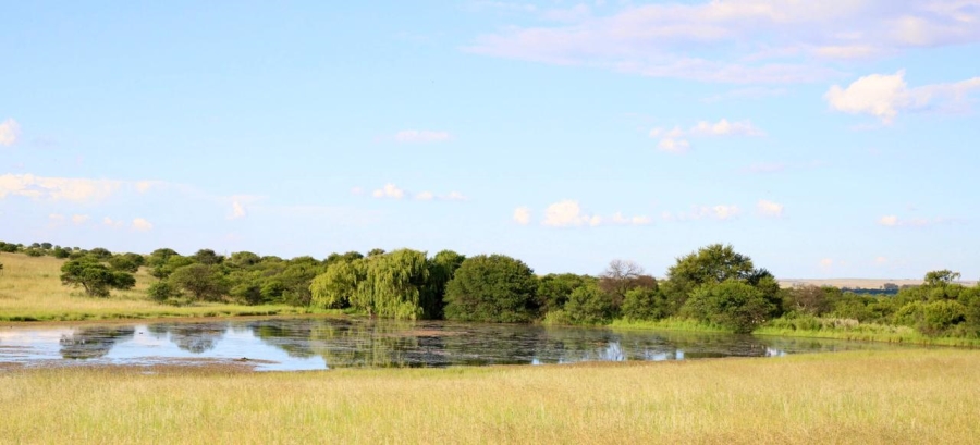 0 Bedroom Property for Sale in Heilbron Free State